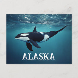 Postal Orca Alaska