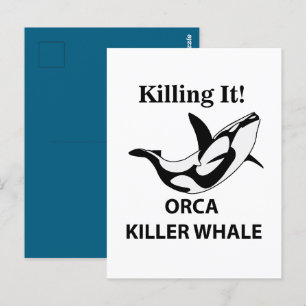 Postal Orca Ballena Asesina Matándolo Divertido