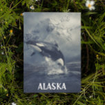 Postal Orca de ballena asesina de las montañas Alaska<br><div class="desc">Este diseño se puede personalizar eligiendo la opción personalizar para añadir texto. Contáctame en colorflowcreations@gmail.com si quieres tener este diseño en otro producto. Compra mi pintura de acrílico abstracta original a la venta en www.etsy.com/shop/colorflowart. Ver más de mis creaciones o seguirme en www.facebook.com/colorflowcreations,  www.instagram.com/colorflowcreations,  www.twitter.com/colorflowart,  y・.</div>