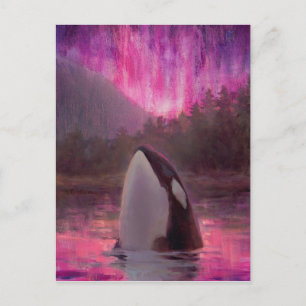 Postal Orca de ballena asesina y luces nórdicas rosadas/m