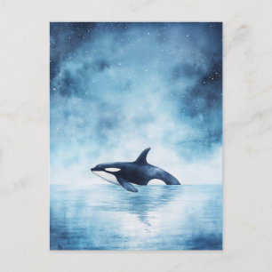 Postal Orca Estrellada Ballena Océano Medianoche