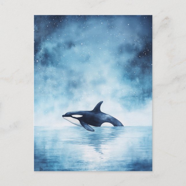 Postal Orca Estrellada Ballena Océano Medianoche (Anverso)