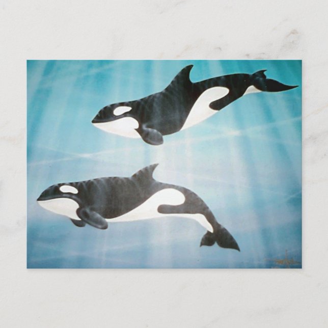 Postal Orca Pair (Anverso)