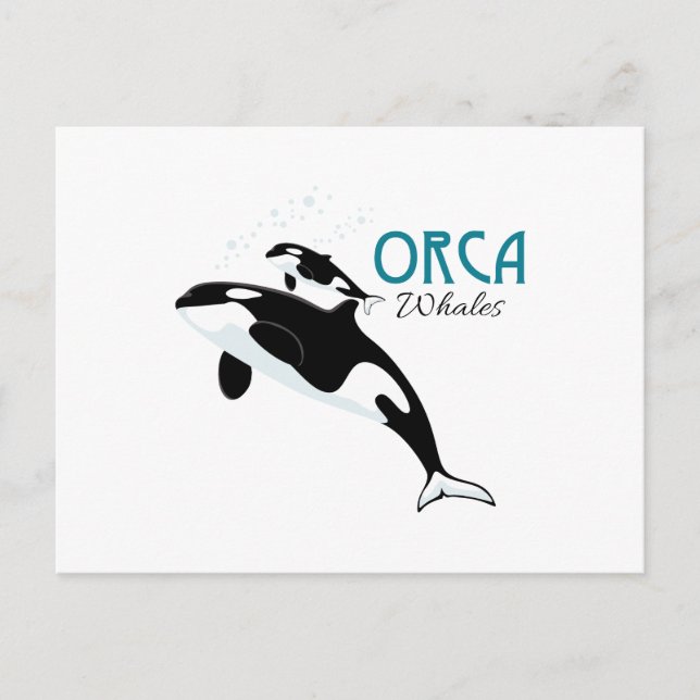 Postal Orca Whales (Anverso)
