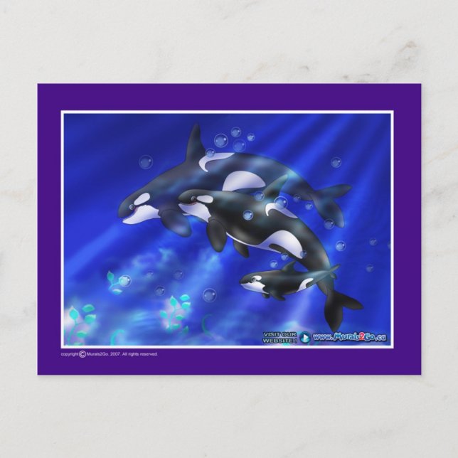 Postal orcas (Anverso)
