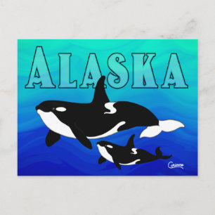 Postal Orcas, Alaska - Postcard