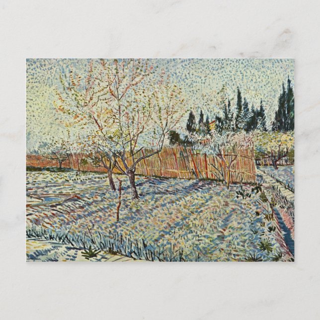 Postal Orchard Con Cypress De Vincent Van Gogh (Anverso)
