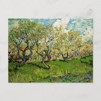 Postal Orchard en Blossom Amsterdam Bella Artes Van Gogh