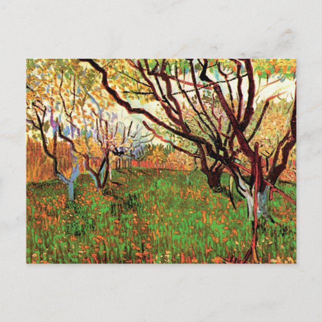 Postal Orchard en Blossom, Vincent van Gogh (Anverso)