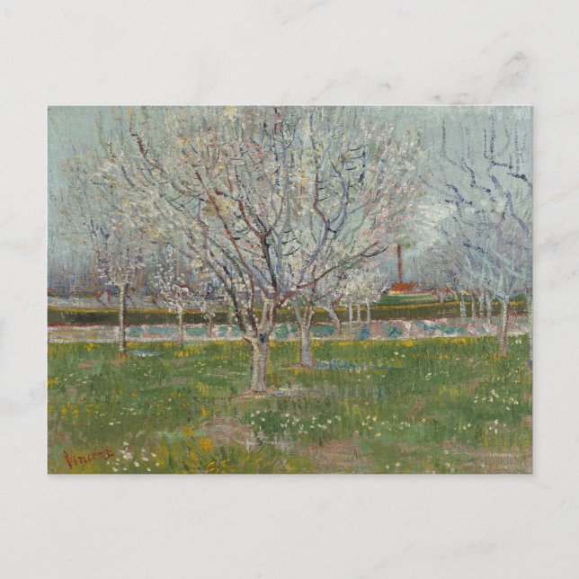 Postal Orchard en ciruelas de flores de Vincent Van Gogh (Anverso)