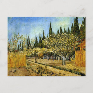 Postal Orchard en flor, cipreses, Vincent van Gogh