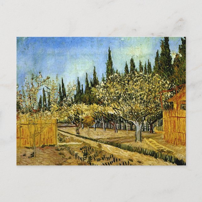 Postal Orchard en flor, cipreses, Vincent van Gogh (Anverso)