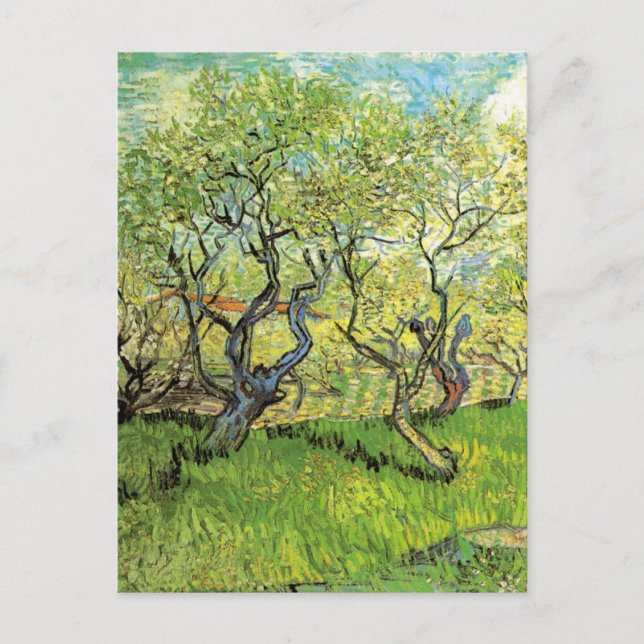 Postal Orchard en flor por Vincent van Gogh (Anverso)