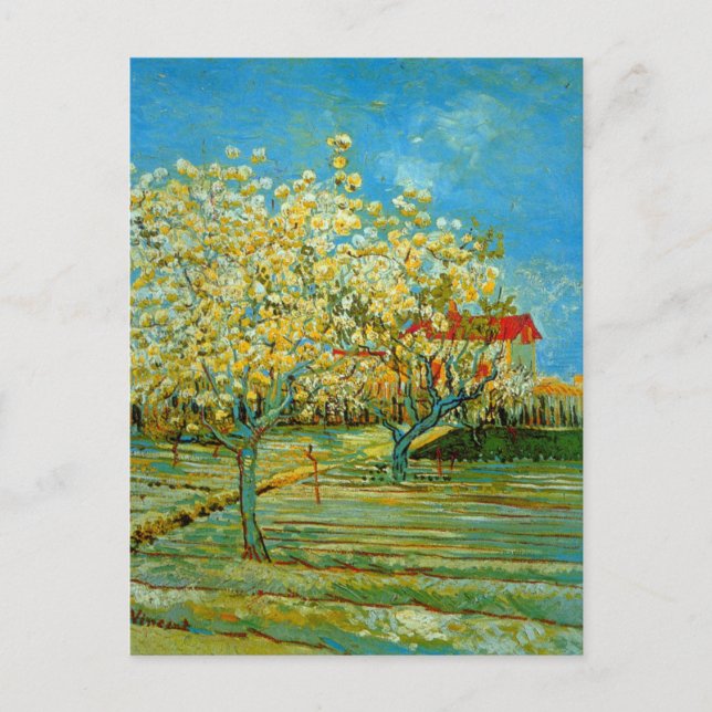 Postal Orchard en flor por Vincent van Gogh (Anverso)