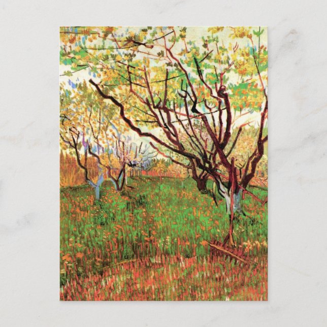 Postal Orchard en flor por Vincent van Gogh (Anverso)