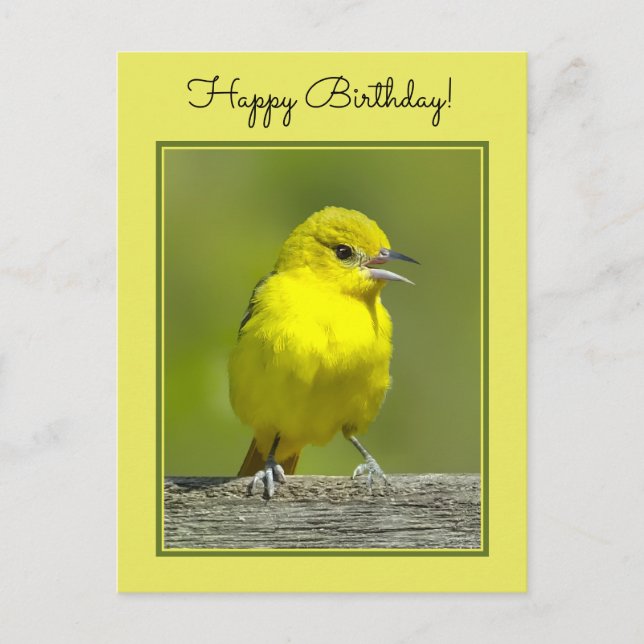 Postal Orchard Oriole - Foto original (Anverso)