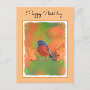 Postal Orchard Oriole Songbird Pintura original de aves