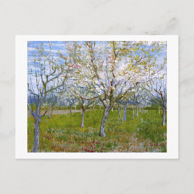 Postal Orchard rosa (F555) Van Gogh Bella Artes (Anverso)