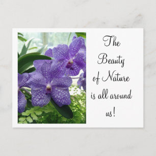 Postal Orchard Violet