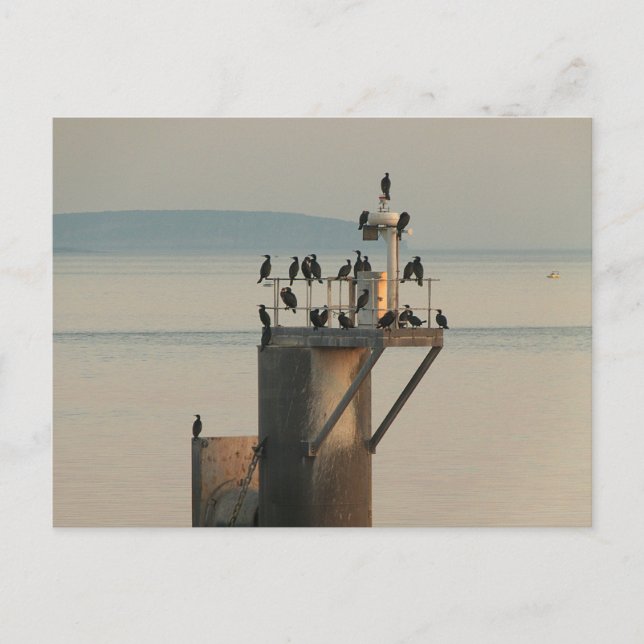 Postal Orden de compra (Anverso)