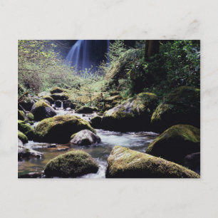 Postal Oregón, Bosque Nacional Siskiyou, Elk Creek
