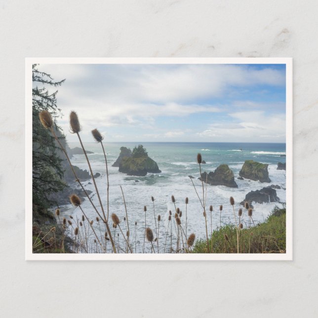 Postal Oregon Coast Arch Rock State Park Brookings Beach (Anverso)