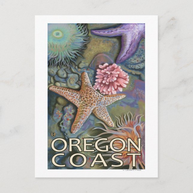 Postal Oregon Coast Tidepool (Anverso)