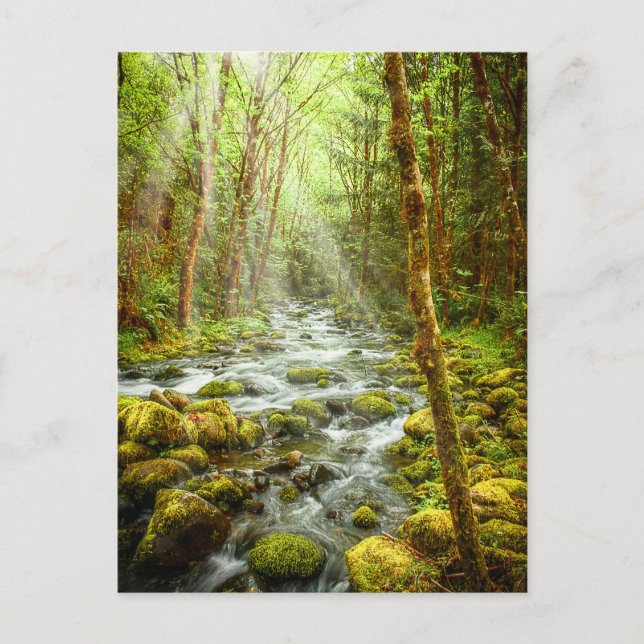 Postal Oregon Fantasy Forest Stream (Anverso)