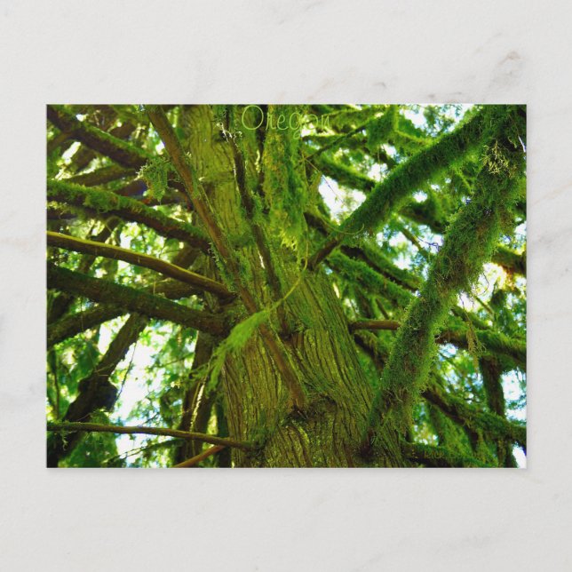 Postal Oregon Green (Anverso)