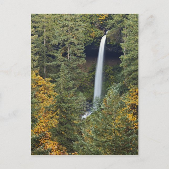 Postal Oregón, Parque Estatal Silver Falls, North Falls (Anverso)