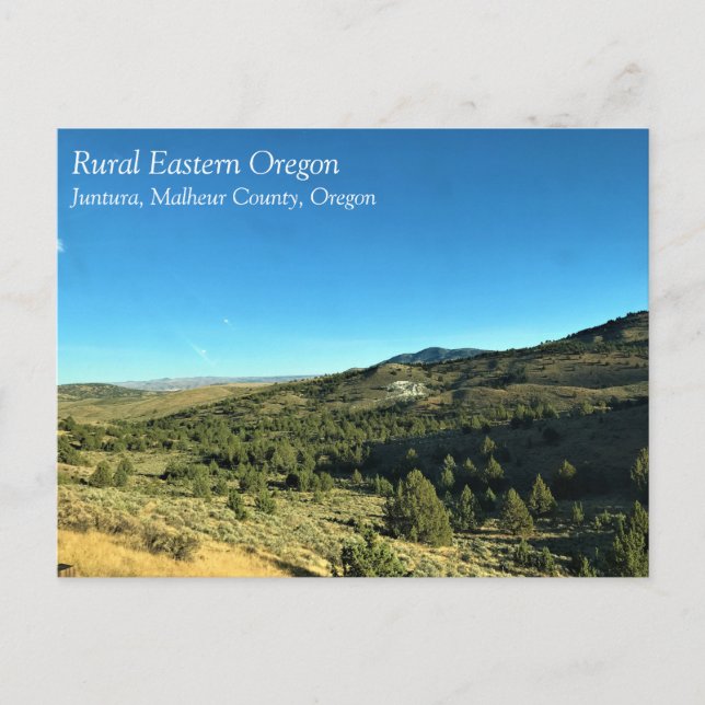 Postal Oregón Rural, Juntura, Condado de Malheur, Oregón (Anverso)