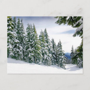Postal Oregon Winter
