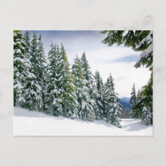 Postal Oregon Winter