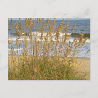 Postal Oretes de mar