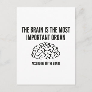 Postal Órganos más importantes