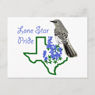 Postal Orgullo de una estrella solitaria