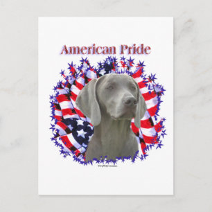 Postal Orgullo de Weimeraner