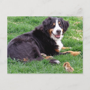 Postal Orgullo Serena