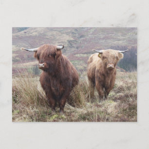 Postal ¡Orgulloso de ser escocés!