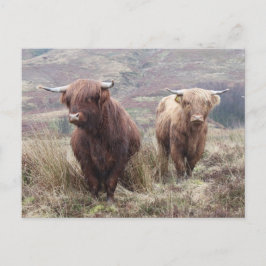 Postal ¡Orgulloso de ser escocés!