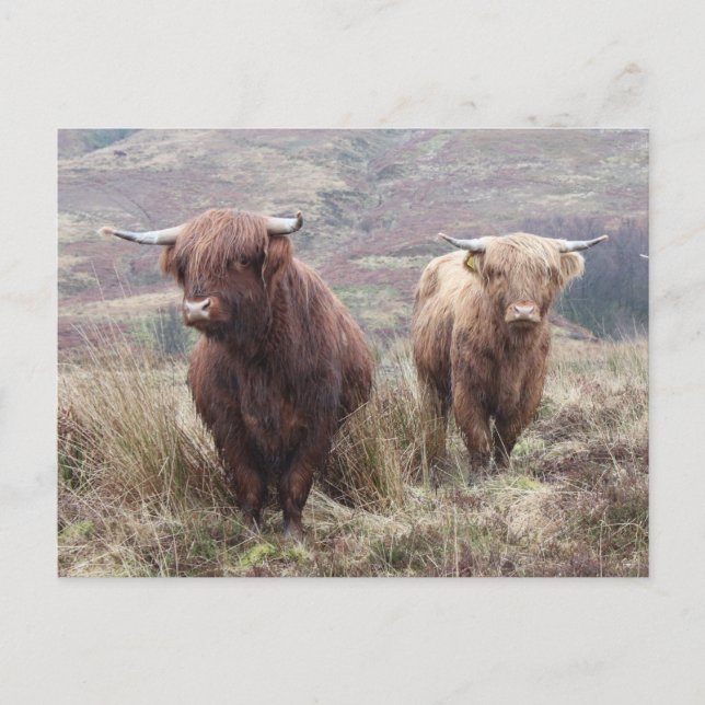 Postal ¡Orgulloso de ser escocés! (Anverso)