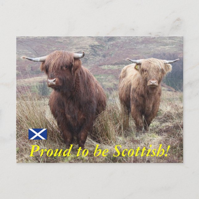 Postal ¡Orgulloso de ser escocés! (Anverso)