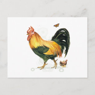 Postal Orgulloso gallo con gallinas y gallinas.