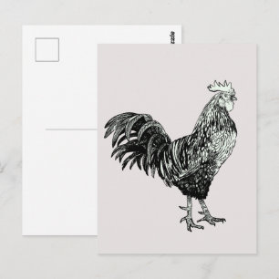 Postal ¡Orgulloso pequeño gallo!