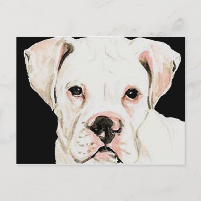 Postal original de arte de perro de Boxer blanco (Anverso)