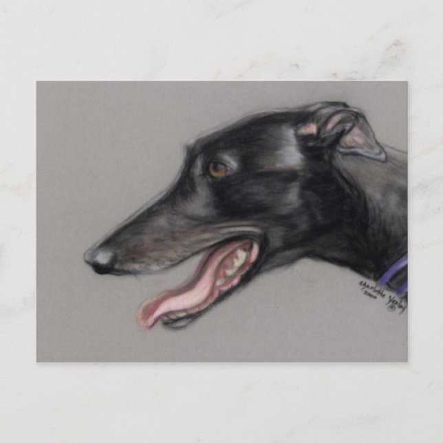 Postal original de arte de perro de Greyhound negr (Anverso)