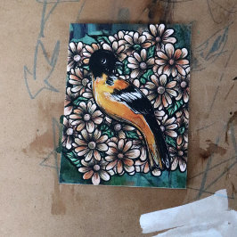 Postal Oriole Bird Art pájaros diseños acuáticos