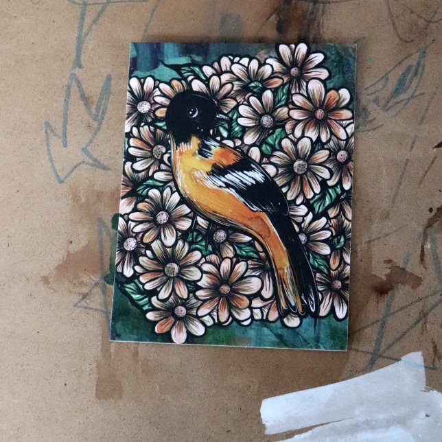 Postal Oriole Bird Art pájaros diseños acuáticos (Subido por el creador)