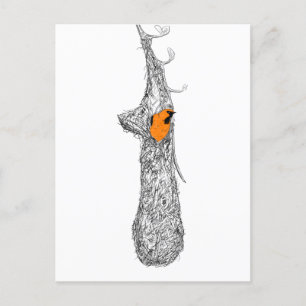 Postal Oriole Nest