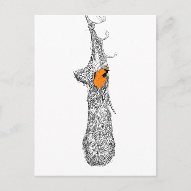 Postal Oriole Nest (Anverso)